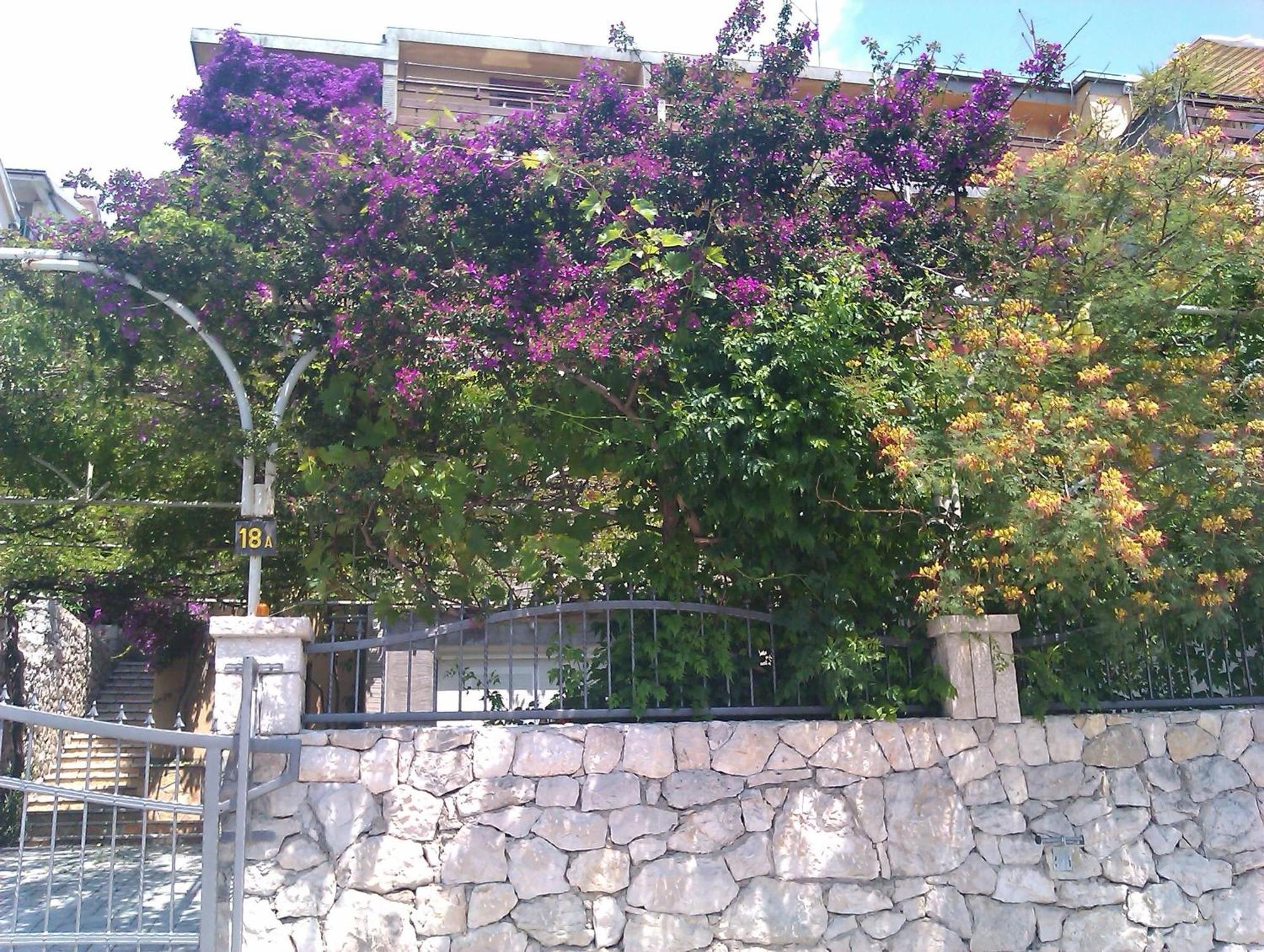 Apartment Garbin