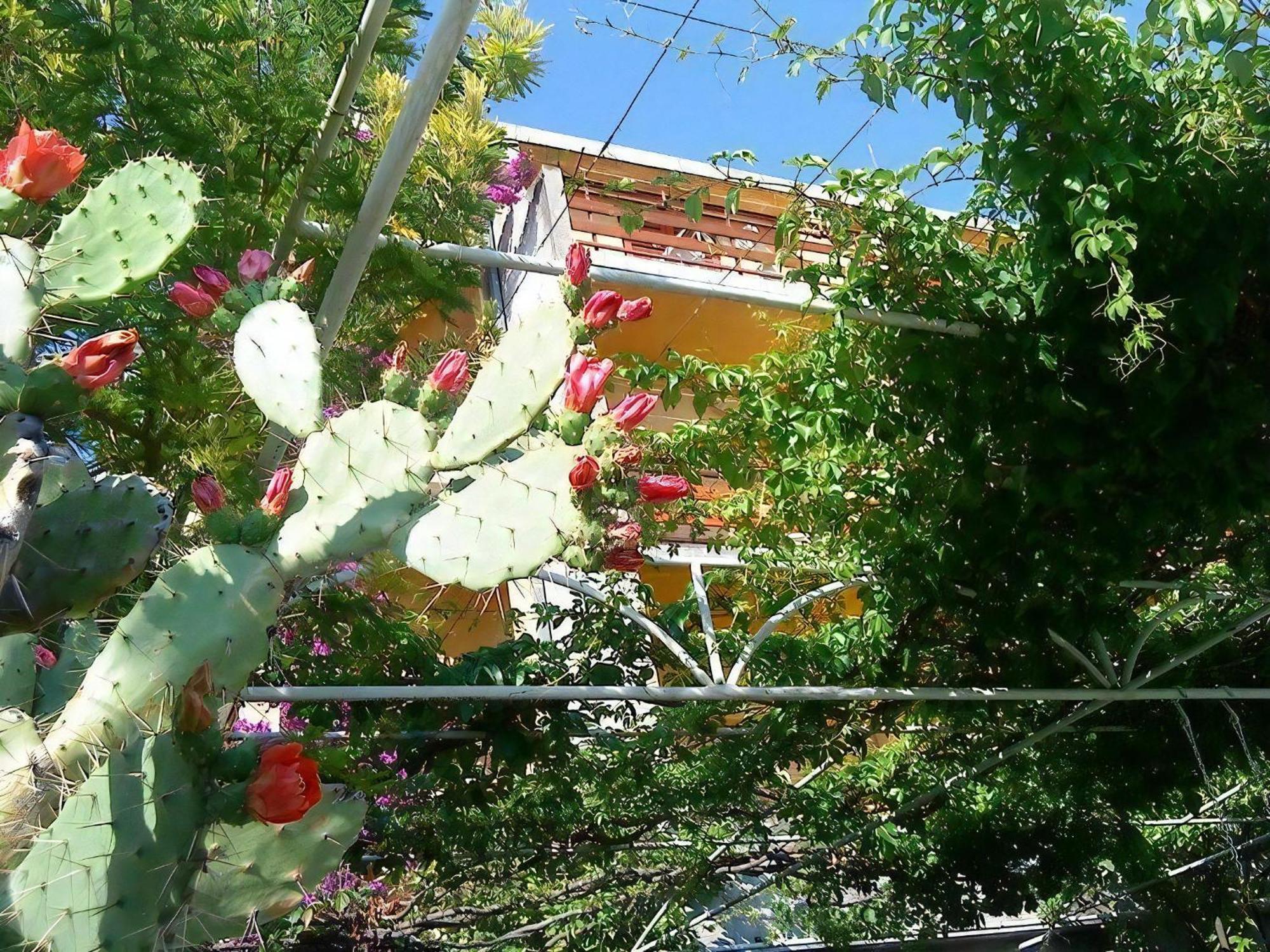 Apartment Garbin