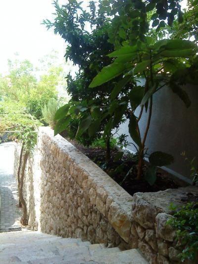 Garbin *